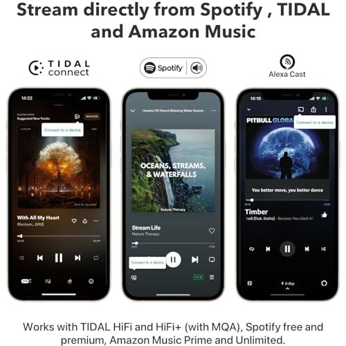 WiiM Pro AirPlay 2 Receiver, Google Cast Audio, WiFi Multiroom Streamer, Compatible with Alexa, Siri and Google Assistant, Stream Hi-Res Audio from Spotify, Amazon Music, Tidal and More