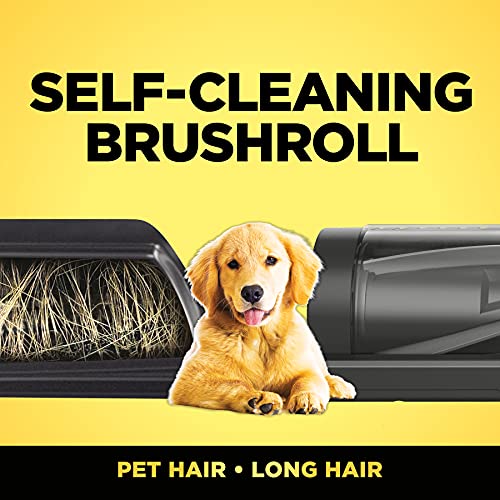 Shark CZ351 Pet Canister Vacuum, Bagless, Corded with Self-Cleaning Brushroll & PowerFins