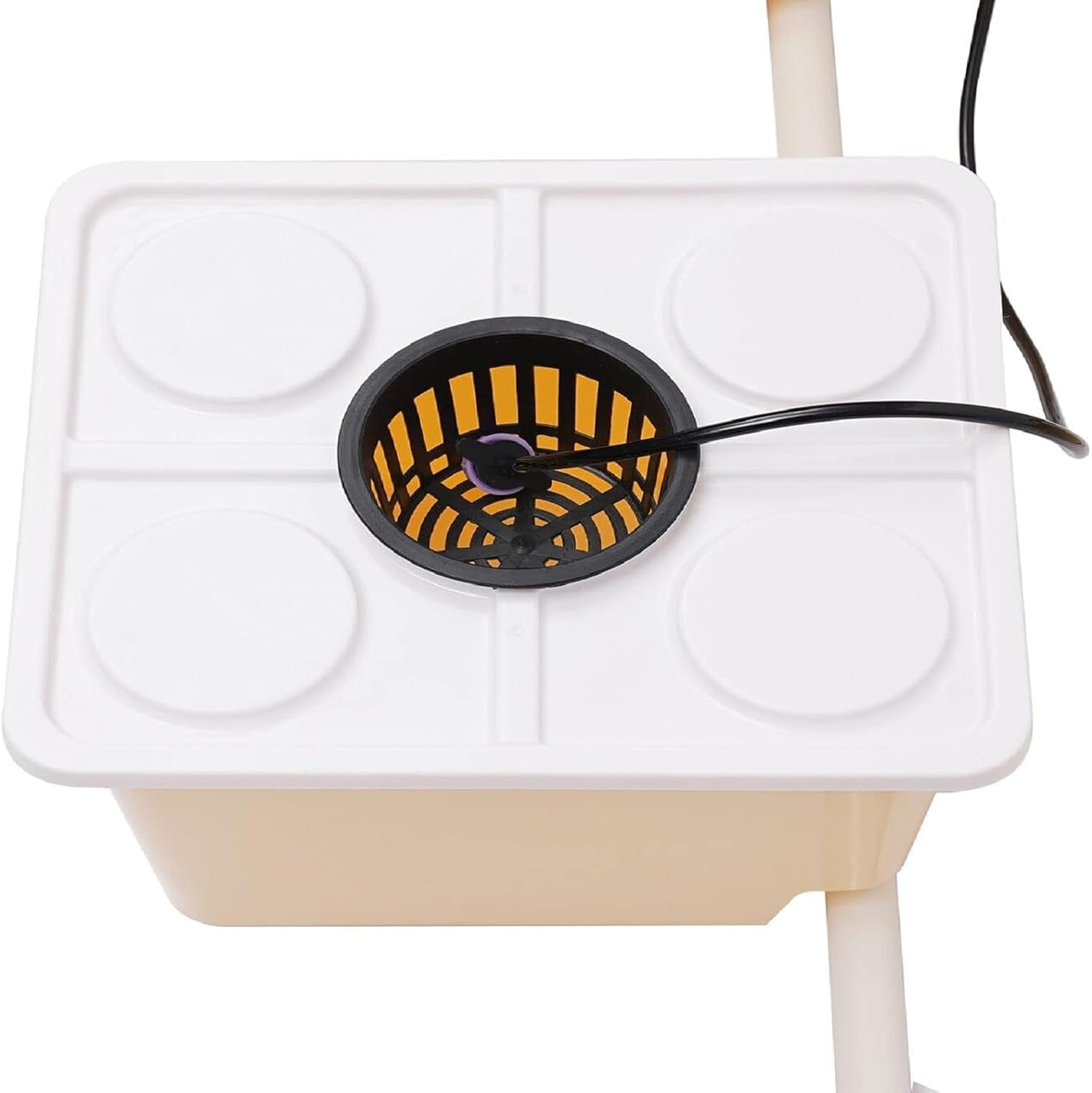 DWC Hydroponics System, 2.91 Gallon Deep Water Culture Growing System with 5 Sites Dutch Buckets and Lids, Recirculating Hydroponic Planter Kit for Cultivating Sorrel Tomatoes Peppers