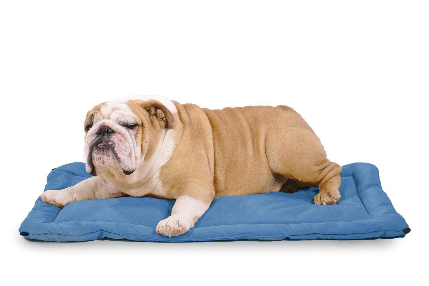 Tough Crate Pad | K9 Ballistics | Chew Resistant and More, Blue / X-Large (47x22x29x22)