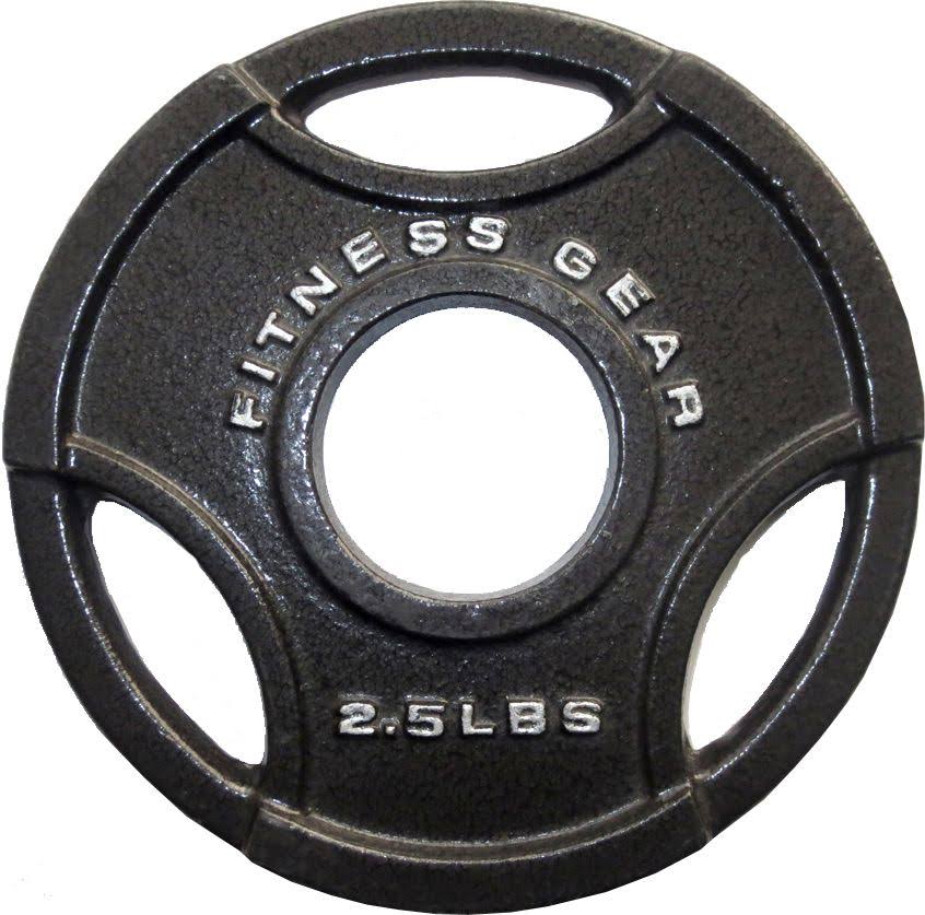 Fitness Gear 45 lb Olympic Cast Plate