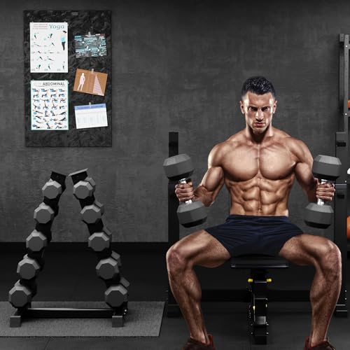 Premium Rubber Coated Hex Dumbbell Weight Set With Rack, Multiple Packages,210LB/350LB/450LB/550LB for Home Gym, Coated Hand Weights for Strength Training, Workouts