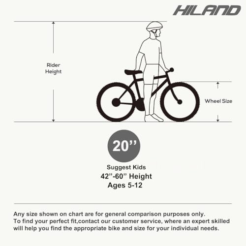 Hiland 20 inch Freestyle Kids BMX Bike,Beginner-Level to Advanced Riders with 360 Degree Gyro & 4 Pegs, Kids' Bicycles for Boys,Girls,Youth Multiple Colors