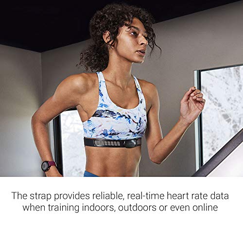 Concept2 RowErg Indoor Rowing Machine with PM5 Monitor | Device Holder, Adjustable Air Resistance, Easy Storage with Garmin HRM-Dual Heart Rate Monitor and Signature Series Resistance Band