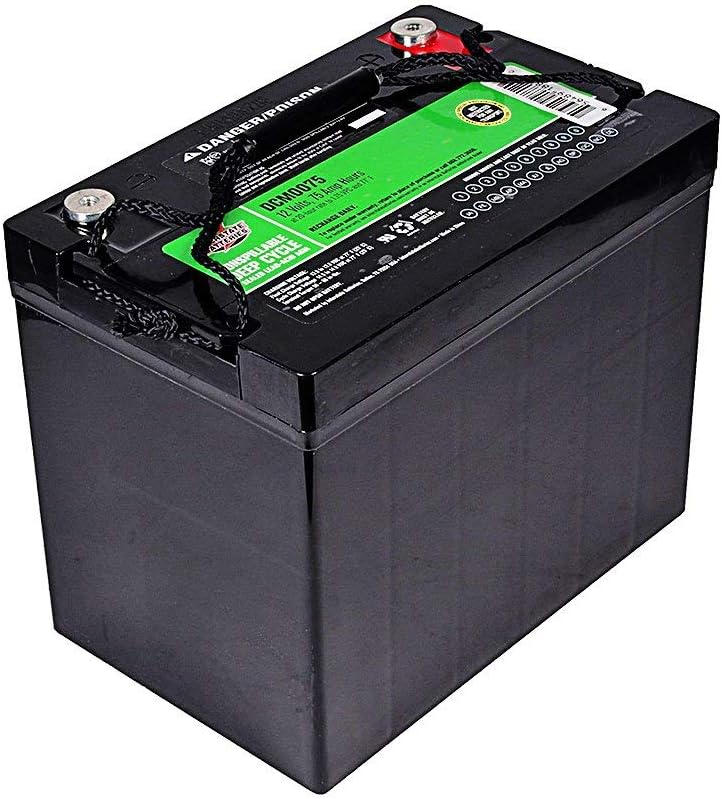 Interstate Batteries 12V 55Ah Deep Cycle Battery (DCM0055) Sealed Lead Acid Rechargeable SLA AGM (Insert Terminals) Wheelchairs, Scooters, ATVs, Solar Power