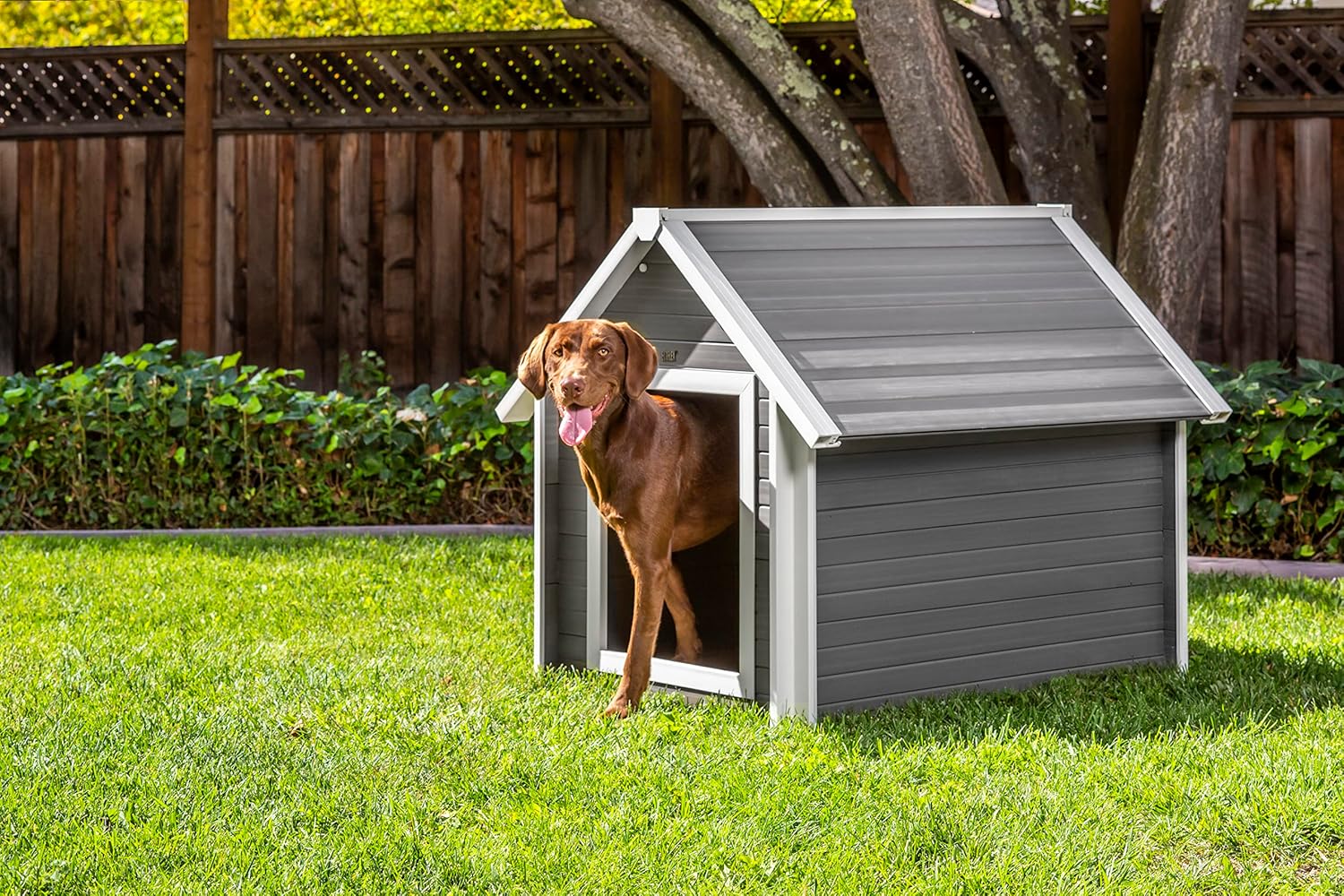 Extra Large ECOFLEX® Pet Dog House - Outdoor Bunk Style Shelter for Dogs up to 150lbs - Raised Floor for Flow Through Ventilation, Weather Proof & Easy to Clean - 10 Year Manufacturer's Warranty