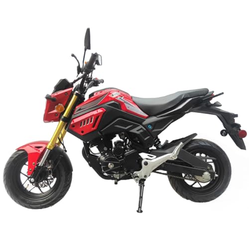 X-PRO Vader 150 Street Motorcycle with 5-Speed Manual Transmission, Electric/Kick Start! 12" Wheels! (Grey)