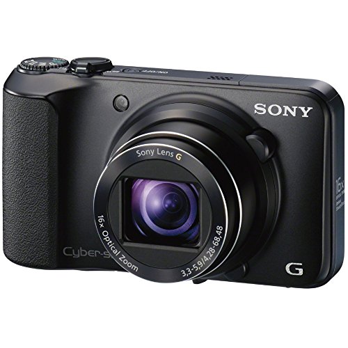 Sony Cyber-shot DSC-H90 16.1 MP Digital Camera with 16x Optical Zoom and 3.0-inch LCD