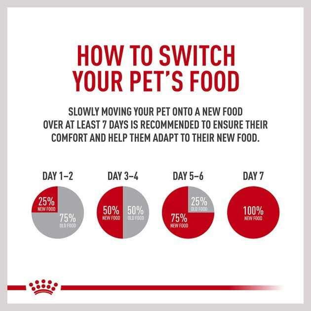 Royal Canin Veterinary Diet Adult Hydrolyzed Protein Loaf Canned Dog Food - Pet Supplies online store