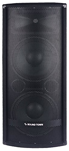 Sound Town 2-Pack Dual 12" 1200W 2-Way Full-Range Passive DJ PA Pro Audio Speaker with Titanium Compression Driver for Live Sound, Karaoke, Bar, Church (METIS-212-PAIR)