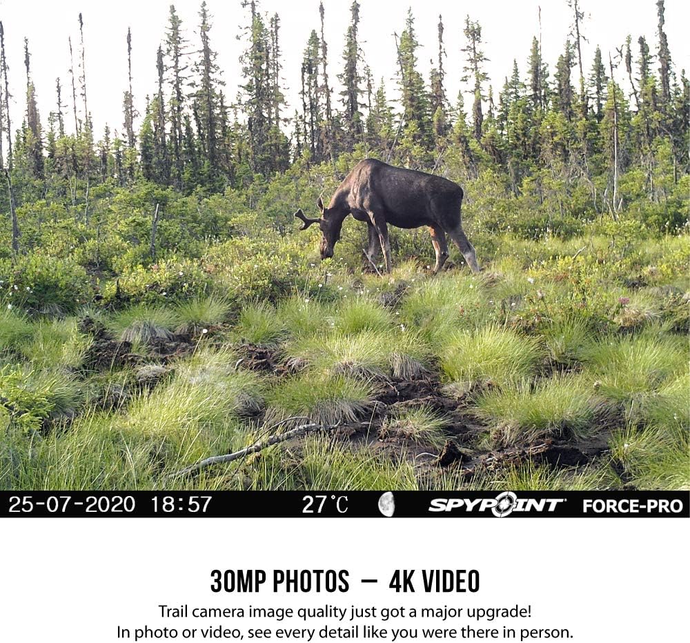 SPYPOINT Force-PRO Trail Camera (30MP) with Spypoint 16 GB SD Card, Card Reader, and Steel Reinforced Strap