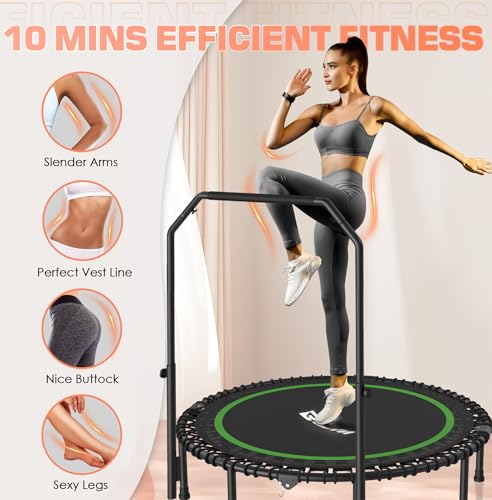 BCAN 450/550 LBS Foldable Mini Trampoline, 40"/48" Fitness Trampoline with Bungees, U Shape Adjustable Foam Handle, Stable & Quiet Exercise Rebounder for Adults Indoor/Outdoor Workout