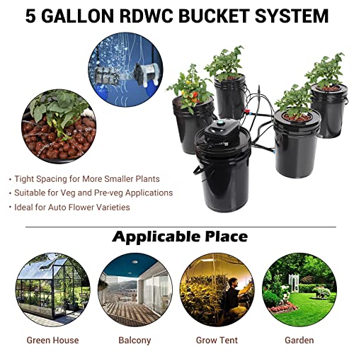 RDWC Top Feed Drip Hydroponics Systems, Recirculating Deep Water Culture Hydroponic Bucket System, 5 Gallon Hydroponics Growing System Kit with Water Pump, Air Pump(4 Bucket + Reservoir + Drip Kit)