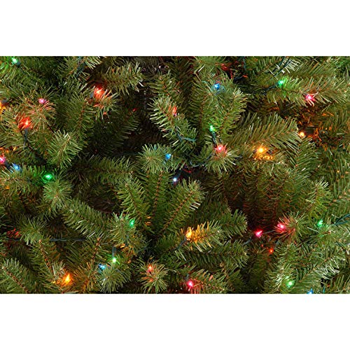 National Tree Company Pre-Lit Artificial Full Christmas Tree, Green, North Valley Spruce, Multicolor Lights, Includes Stand, 7 Feet