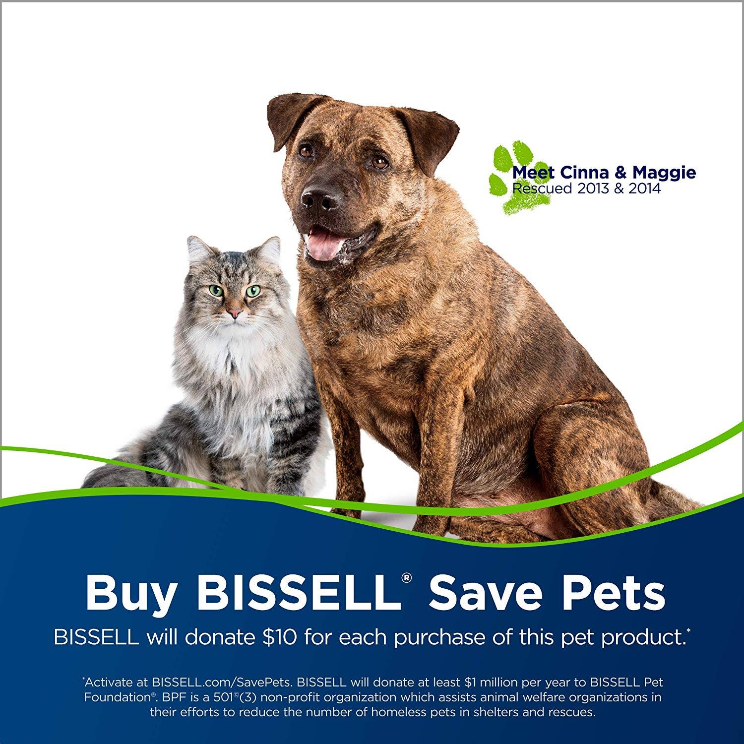 Bissell Proheat Pet Advanced Full-Size Carpet Cleaner 1799