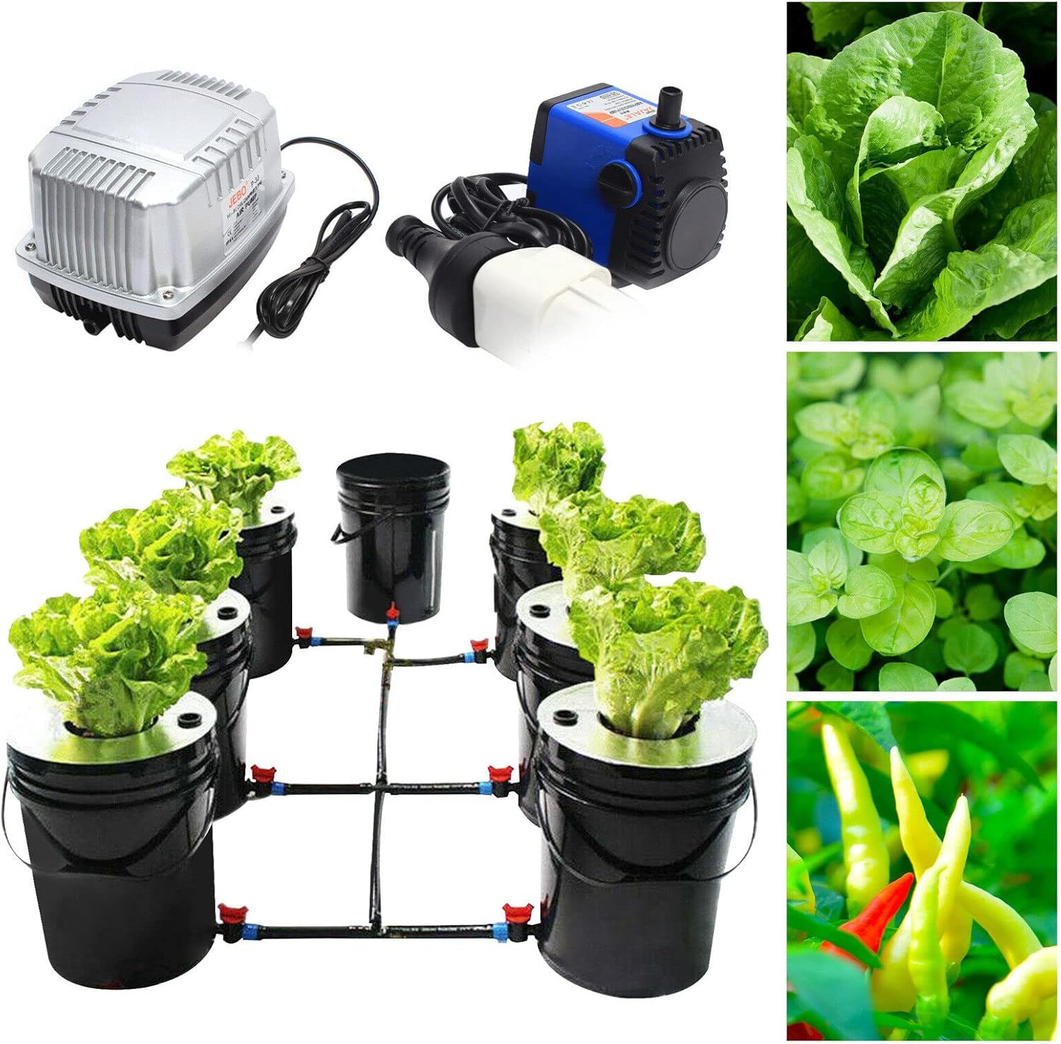 DWC Hydroponics Growing System, 7 Buckets 5 Gallon Recirculating Deep Water Culture, Multi Barrel Hydroponic Machine Drip Irrigation System for Vegetables