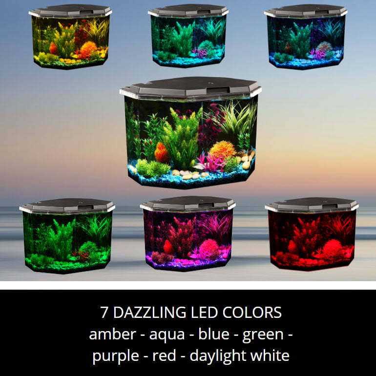 Aqua Culture 6.5-Gallon Semi-Hex Aquarium Kit with LED Lighting - Pet Supplies online store