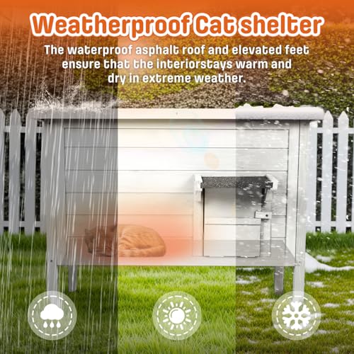 BRIOPAWS Outdoor-Cat-House-Insulated | Feral-Cat-Shelter for Winter | Weatherproof | Large Wooden Pet House for Multiple Cats | Foldable Ladder | Acrylic Side Window | Grey