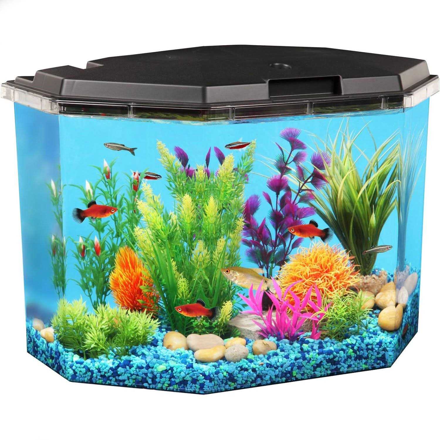 Aqua Culture 6.5-Gallon Semi-Hex Aquarium Kit with LED Lighting - Pet Supplies online store