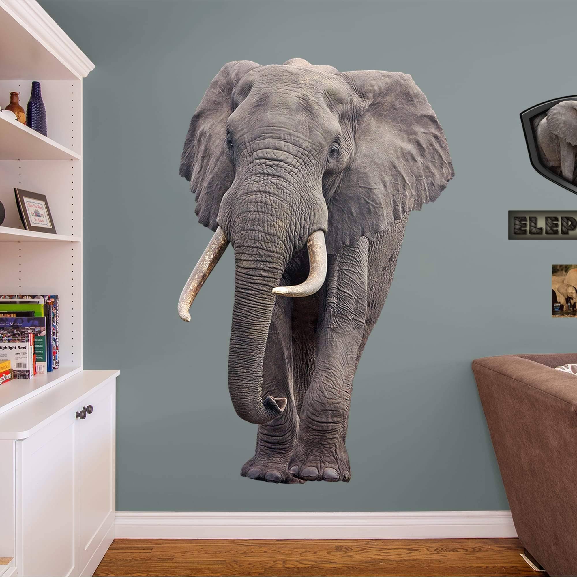 Fathead Elephant - X-Large Animal Removable Wall Decal, Size: XL