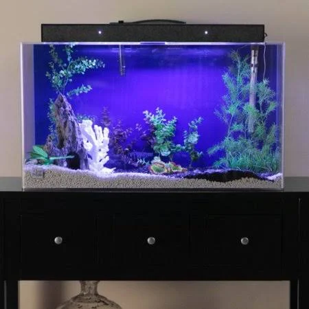 Clear for Life 20R Rectangle Acrylic Aquarium - Blue Back