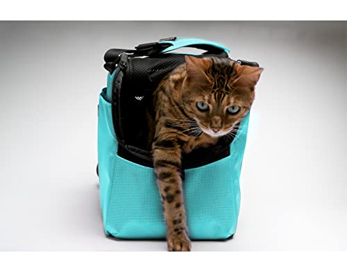 Sleepypod Atom - Airline Approved Pet Carrier and Crash-Tested Car Seat for Cats and Dogs up to 12 lbs. (Dark Chocolate)
