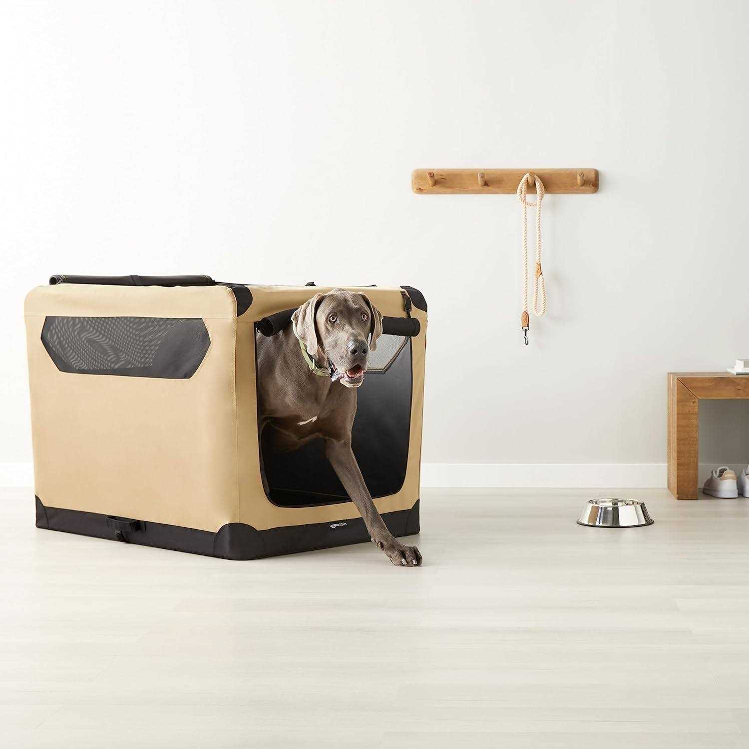 Amazon Basics 2-door Soft-sided Folding Travel Crate Dog Kennel - Pet Supplies online store