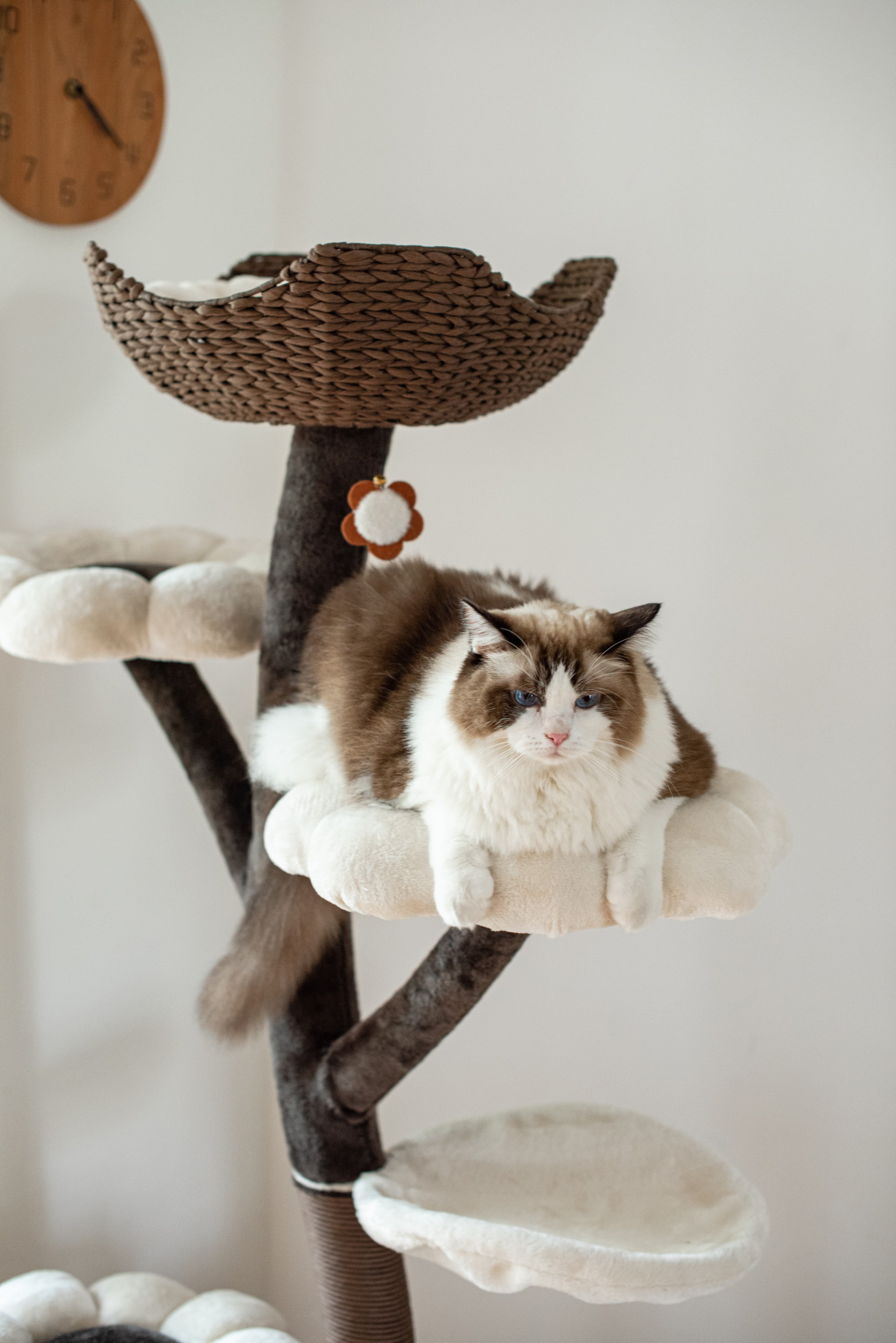 Catry 59" Natural Blossom Flower Woven Tree Branches Large Cat Tree 6-Level Cat Tower w/ Hammock Foam-Padded Perches Basket for Large Adult Cats Play House Indoor Climbing Modern Cat Furniture