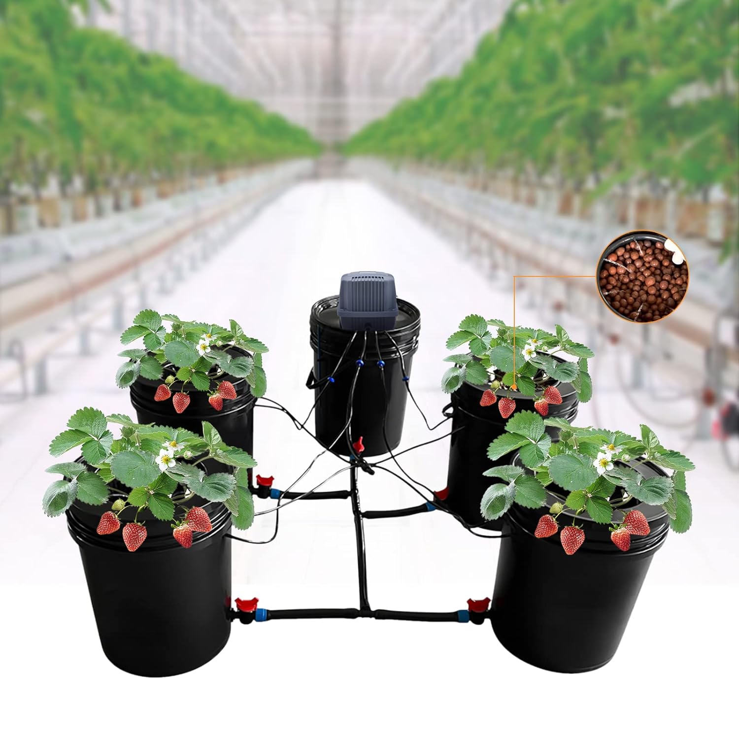 5-Gallon Deep Water Culture Hydroponics Grow System Kit with 5 Buckets, Recirculating Design, and Reservoir for Greenhouse and Indoor Growing – Ideal for Vegetables, Garden, and Balcony