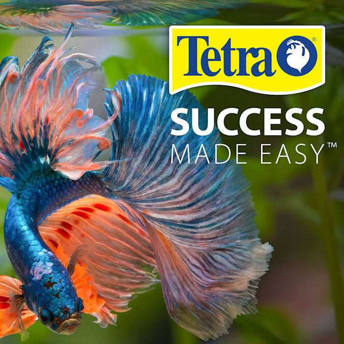 Tetra Glass Aquarium 29 Gallons - Pet Supplies online store
