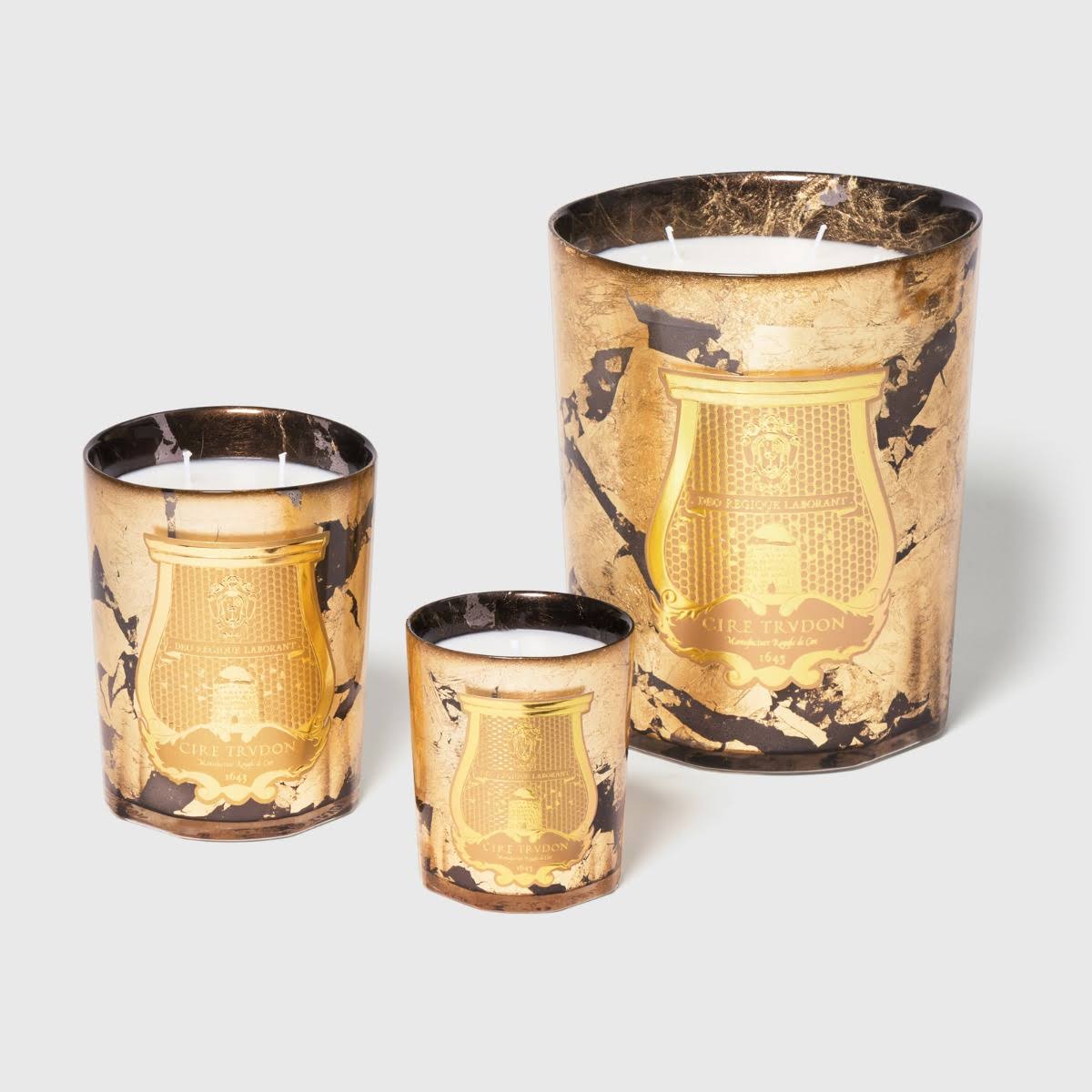 Cire Trudon Ernesto Scented Classic Candle 270g