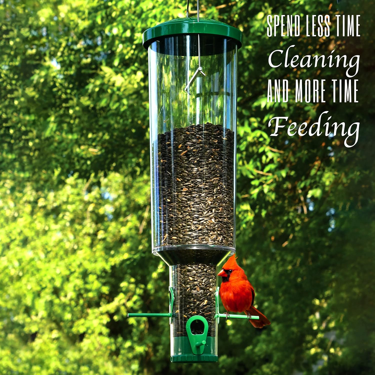 My Bird Feeders Squirrel Proof for Outside Hanging - Large Cylinder Tube 7lb Capacity - Rain Diversion, Mold Prevention, Easy Clean - Wild Bird Feeder - Great for Cardinals, Finch, Blue Birds & More Pack of 2