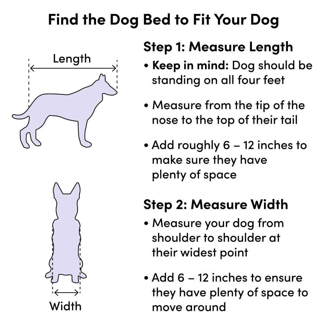 La-Z-Boy Newton Dog Sofa - Pet Supplies online store