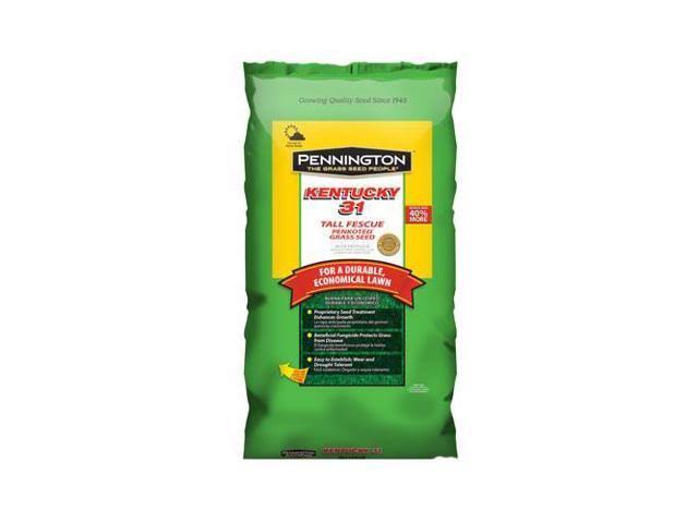 Pennington 100516055 Kentucky 31 Tall Fescue Grass Seed 25 lb