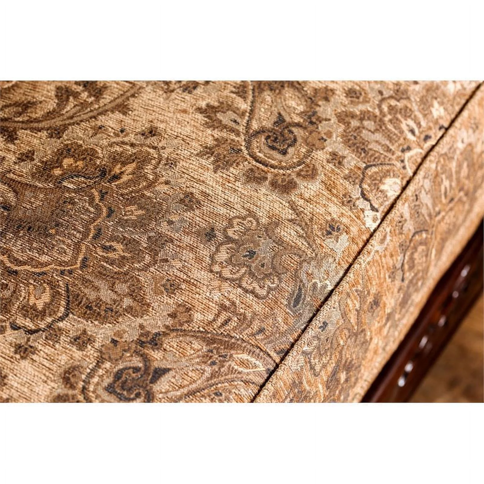 Furniture of America Rhodes Traditional Chenille Sofa in Gold and Bronze