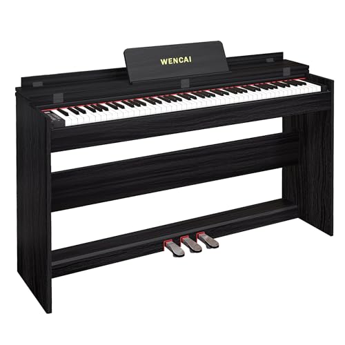 88 Key Fully Weighted Digital Piano Keyboard, 88 Keys Hammer Action Electric Pianos, Wooden Classic Upright Electronic Piano for Beginner, Professional, Midi Compatible, Triple Pedal (Black)