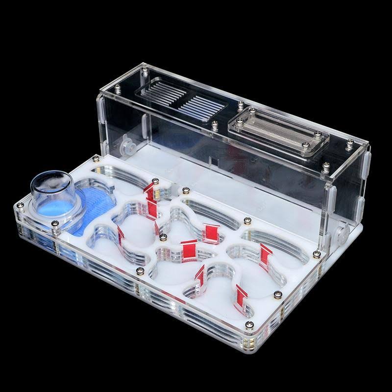 Acrylic Ant Nest-large Flat Farm with Feeding Area and Workshop Castle