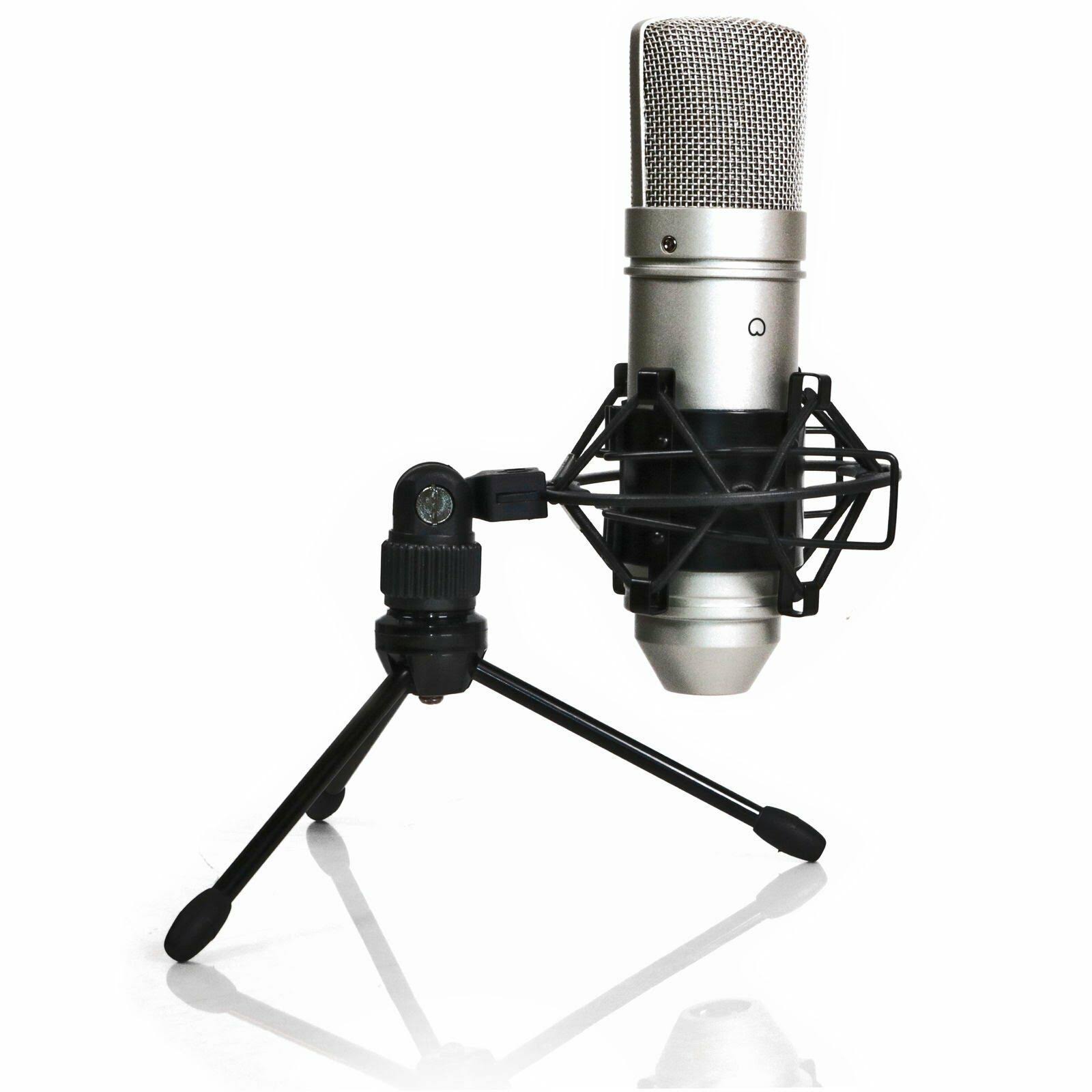 Tascam TM-80 Microphone