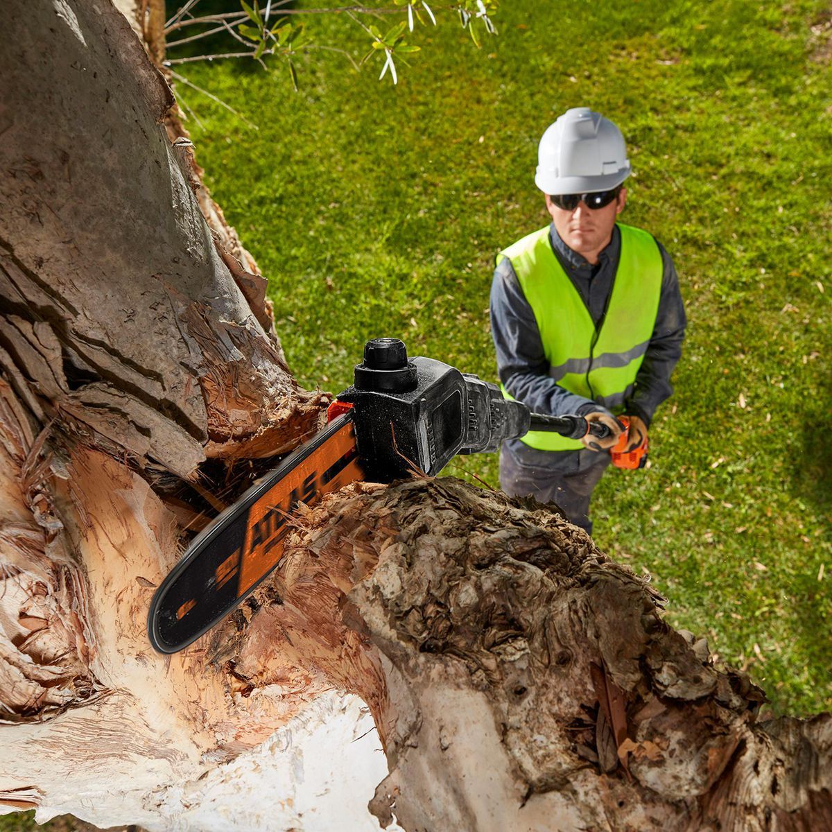 ATLAS 80V Brushless Cordless, 10 in. Pole Saw - Tool Only