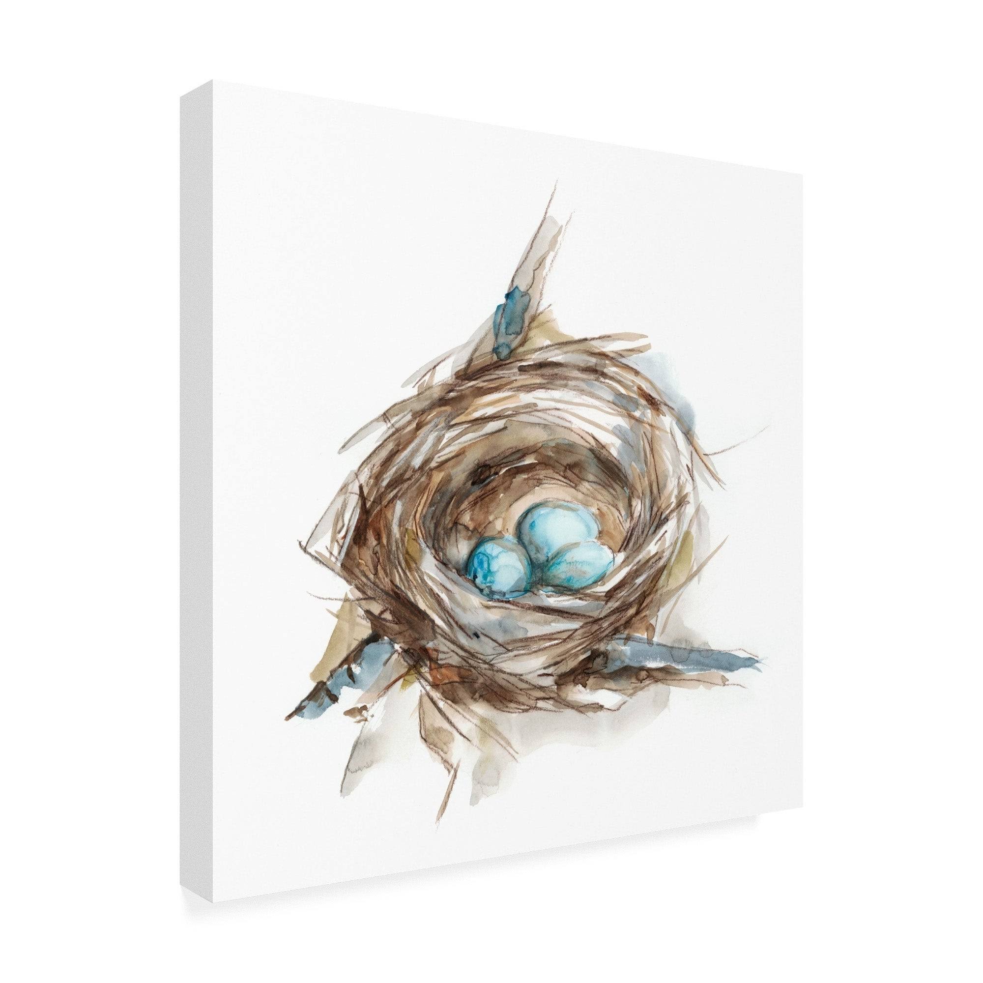 Porch u0026 den Ethan Harper &Bird Nest Study II& Canvas Art - 18x18