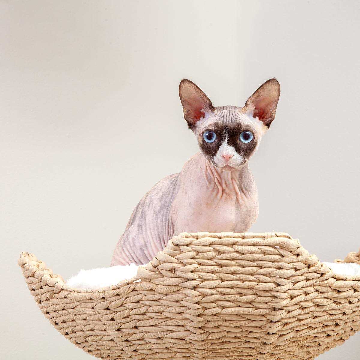 Habitat Haven Modern Cat Tree Big Elevated Tower - Pet Supplies online store