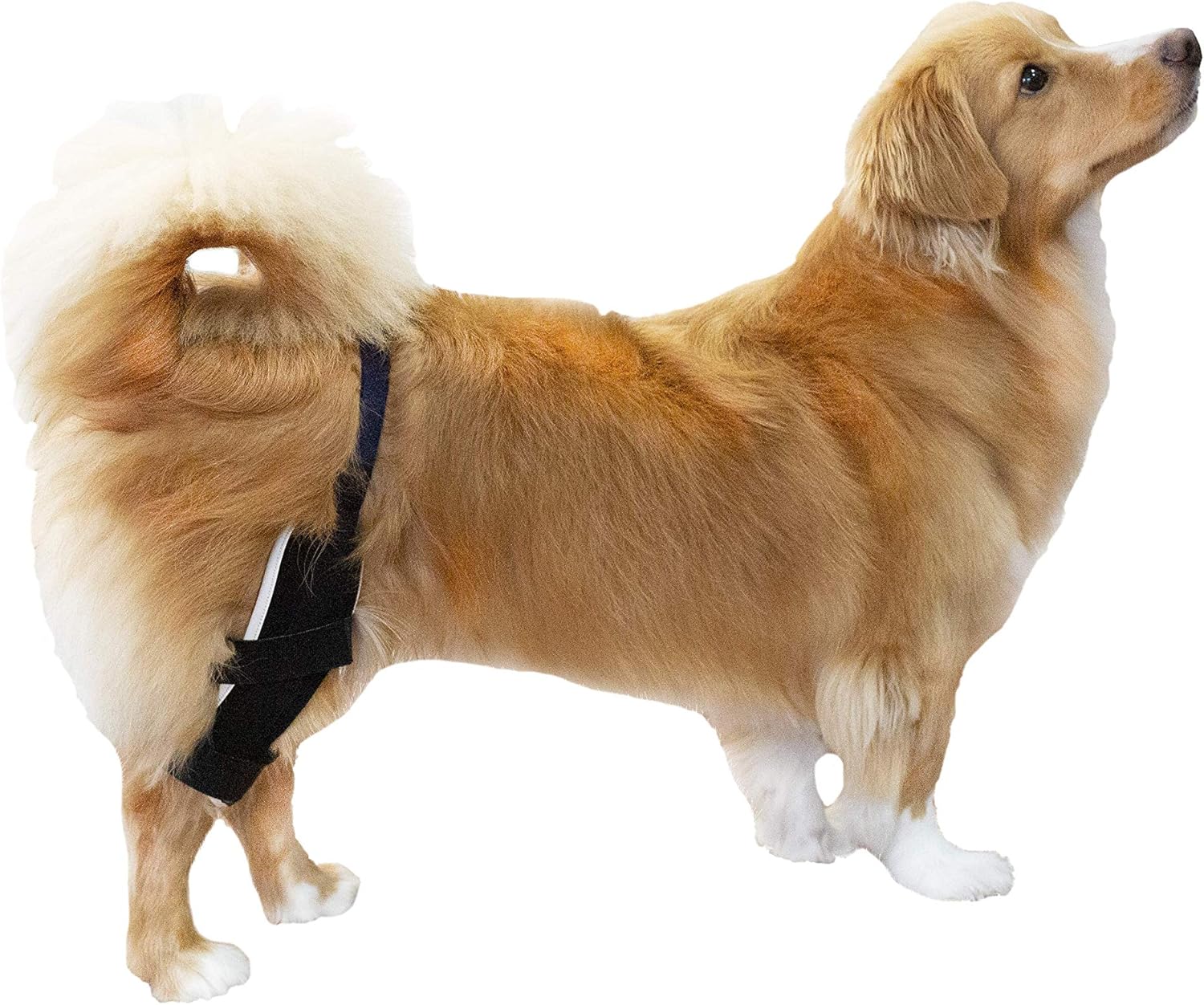 Poveo hinged Dog Knee Brace with Patella Tracker - Neoprene Canine Stifle Support for Dogs with Flexible Support, Torn ACL, Patella Luxation, osteoarthritis, limping from Joint Pain, Hip dysplasia