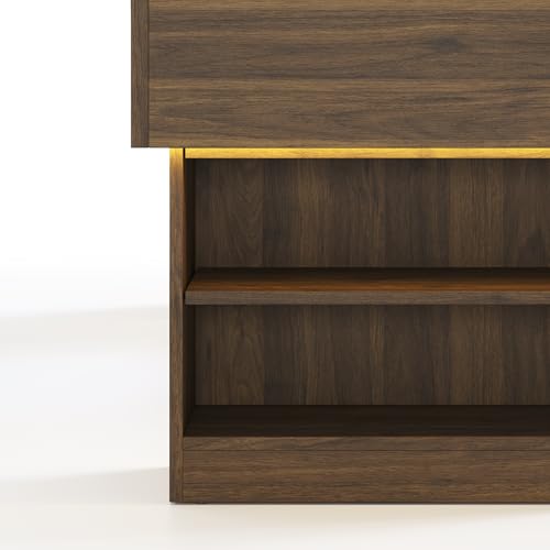 Modern Wooden Pet Bed with 2 Cushions and Led Light, Elevated Dog Bed for Small and Medium, Pet Furniture with Storage, Walnut