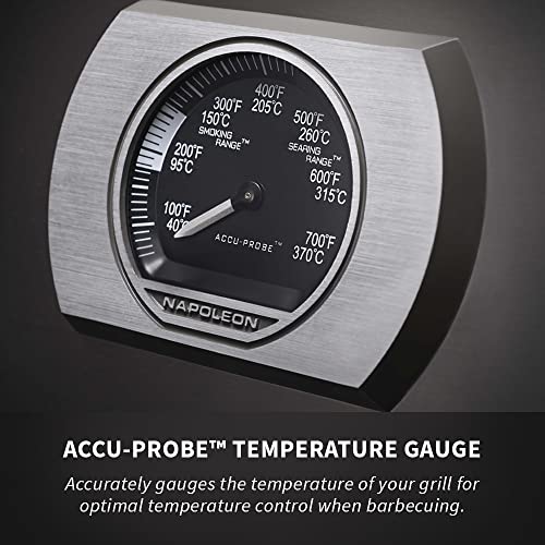 Napoleon Built-in Prestige 500 Rear Burner Natural Gas Grill Head, sq.in. + Infrared, Stainless Steel