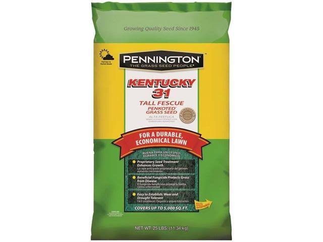 Pennington 100516055 Kentucky 31 Tall Fescue Grass Seed 25 lb