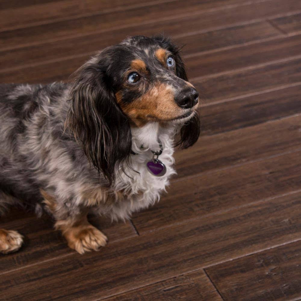 Cali Bamboo Fossilized 5.31-in Vintage Port Bamboo Handscraped Engineered Hardwood Flooring (21.5-Sq ft) in Brown | 7014009100