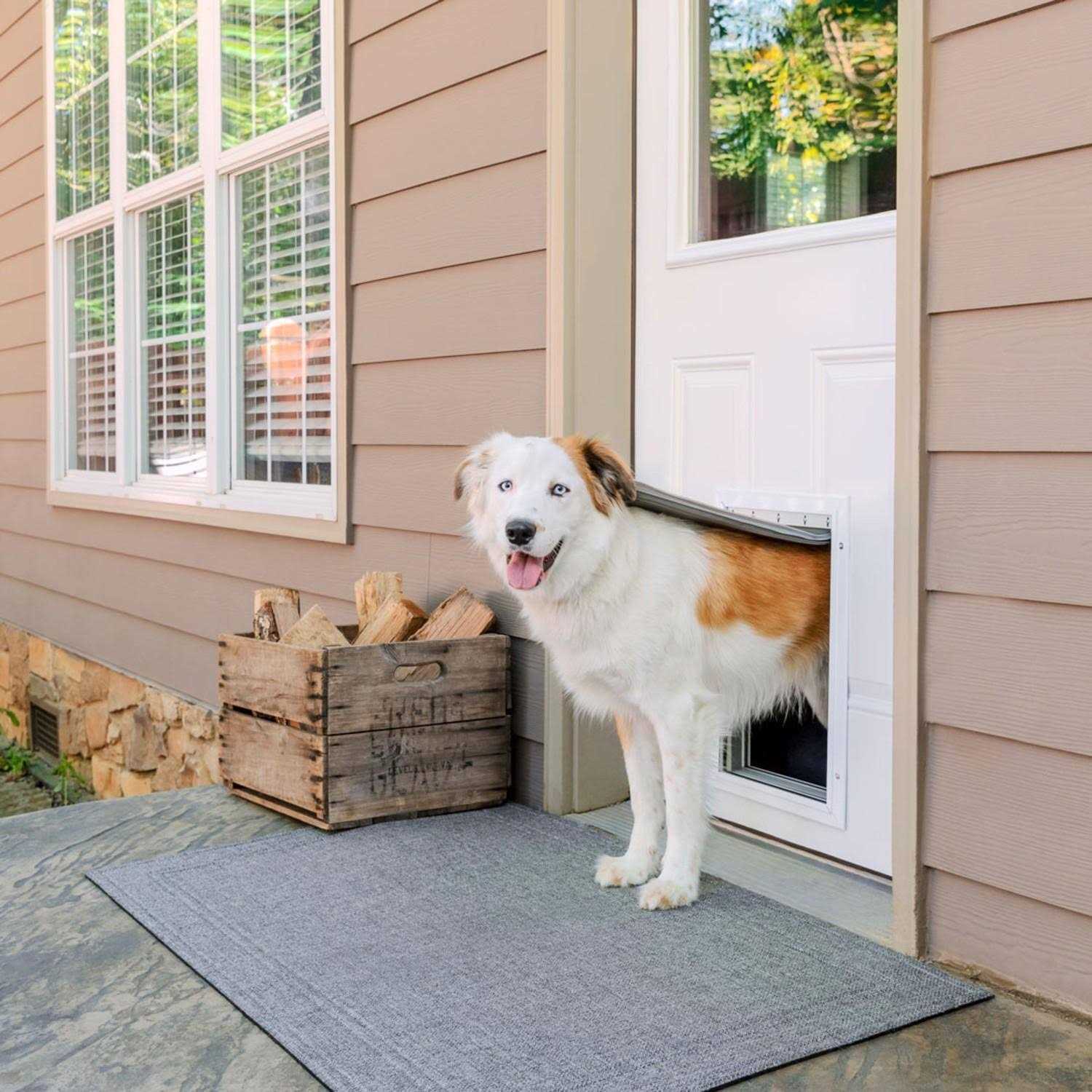 Extreme Weather Aluminum Pet Door PetSafe - Pet Supplies online store