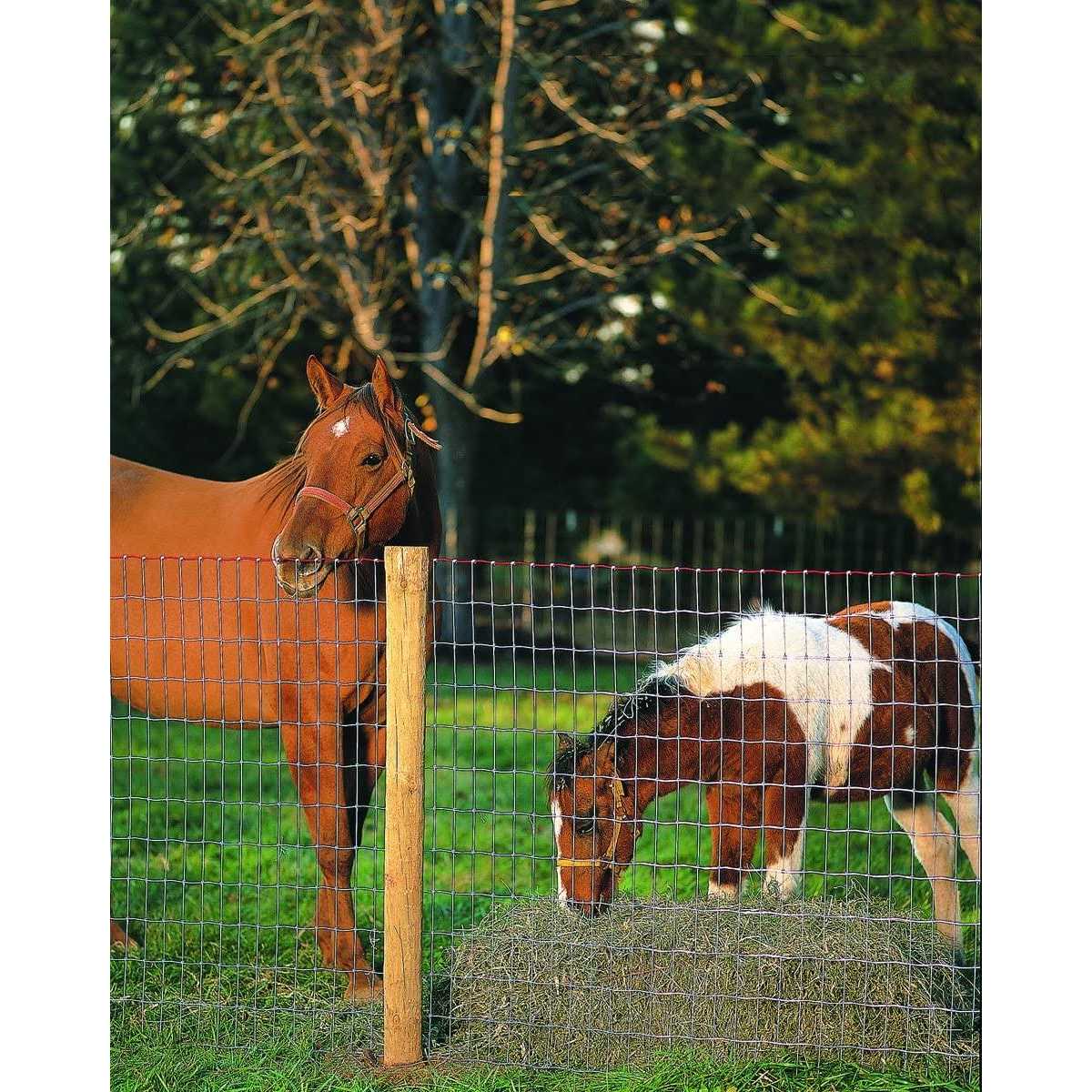 Red Brand Steel &amp; Wire Horse Fence - Shop Hardware Tools Online Store