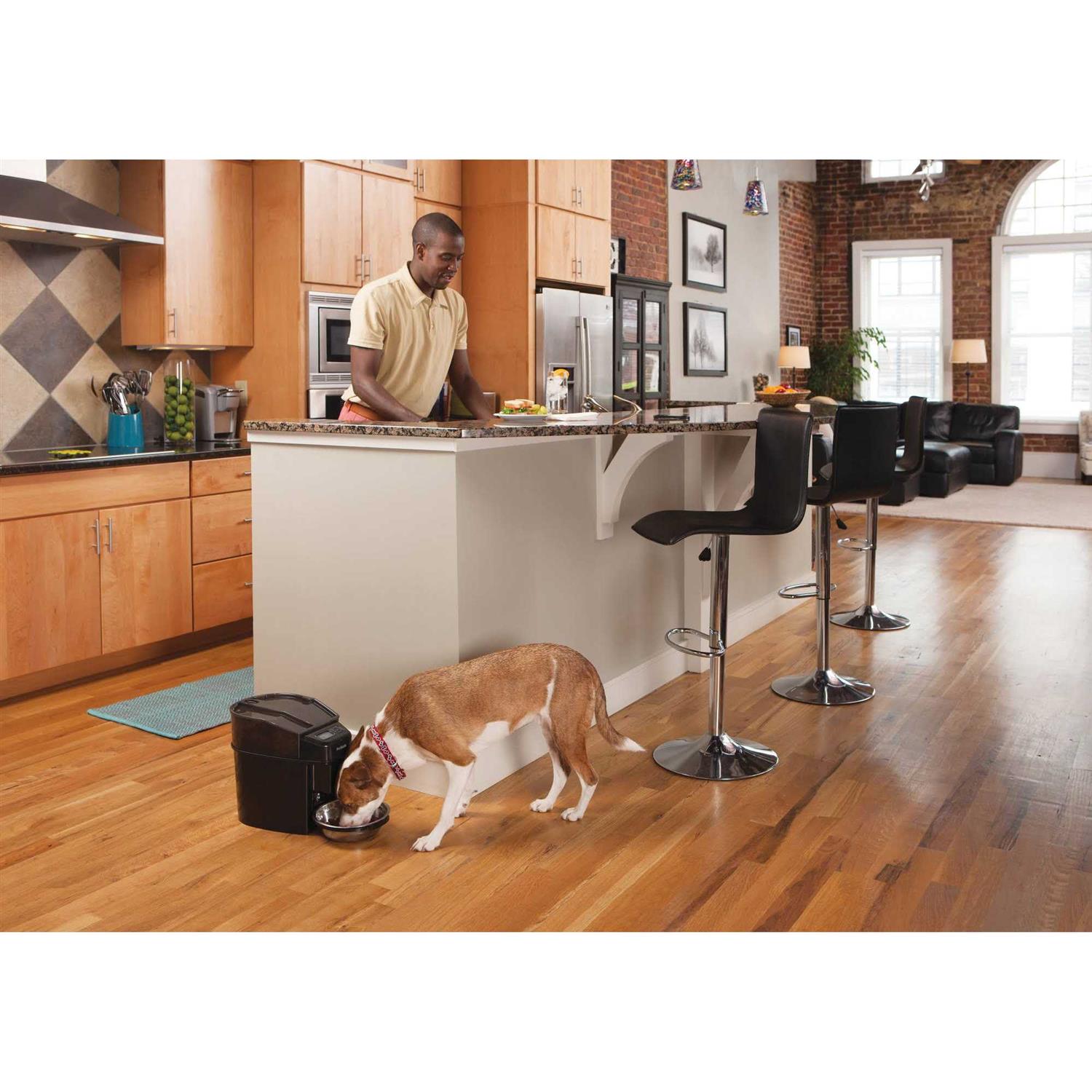 PetSafe Healthy Pet Simply Feed Automatic Feeder - Pet Supplies online store
