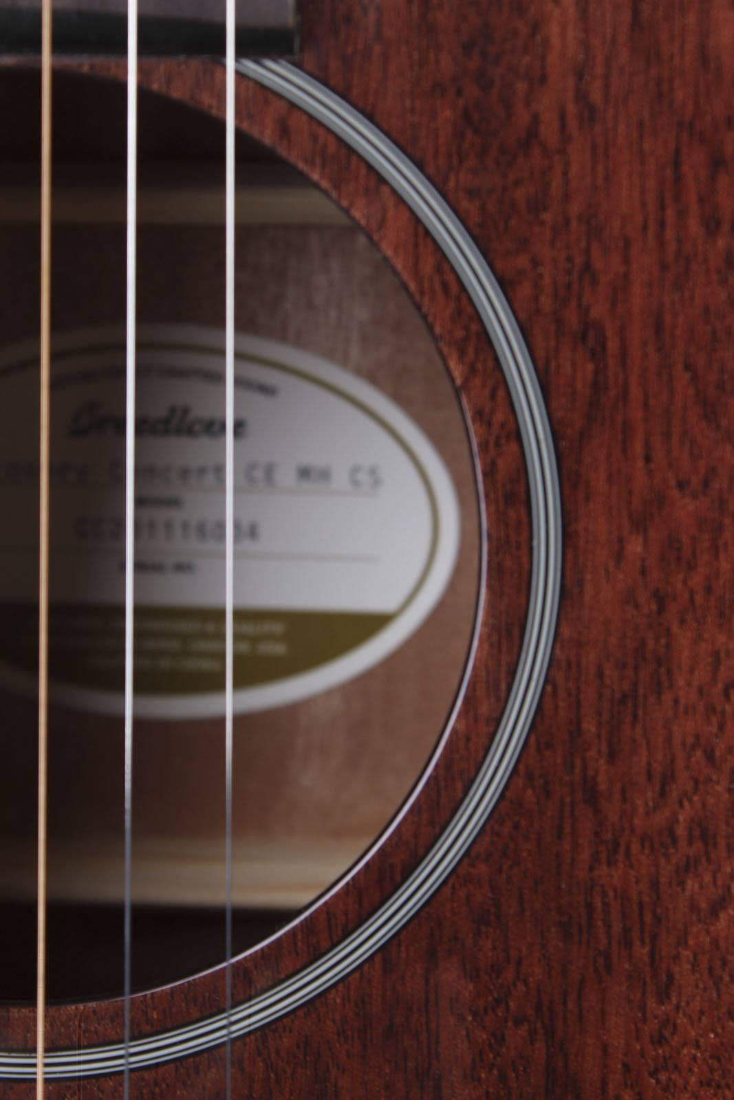 Breedlove Discovery Concert CE - Cosmo